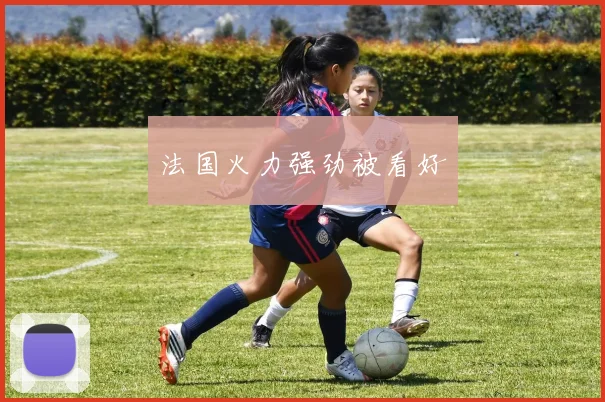 法国火力强劲被看好