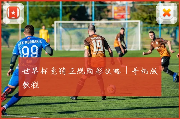世界杯竞猜正规购彩攻略｜手机版教程